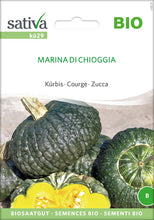 Laden Sie das Bild in den Galerie-Viewer, Kürbis / Marina di Chioggia
