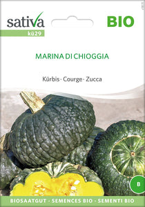 Kürbis / Marina di Chioggia