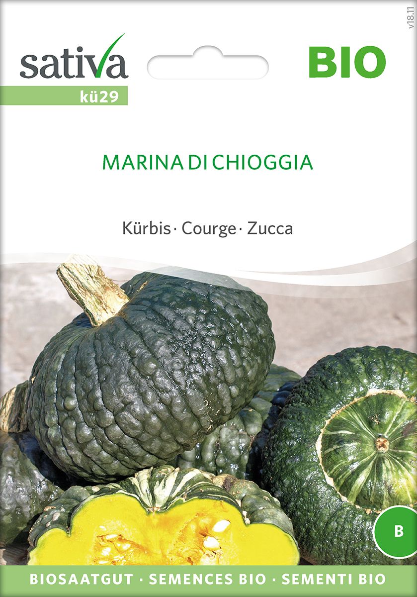 Kürbis / Marina di Chioggia