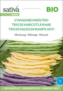 Stangenbohnentrio