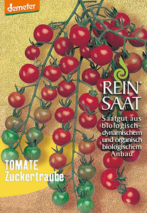 Tomate / Zuckertraube