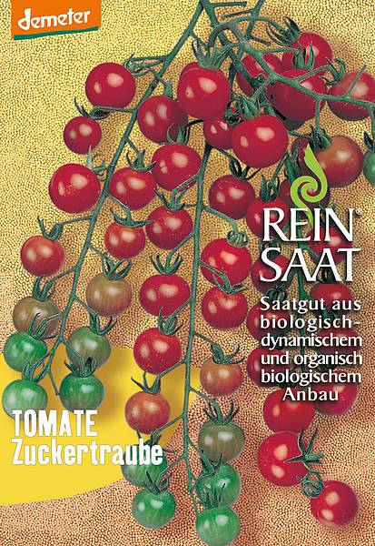 Tomate / Zuckertraube