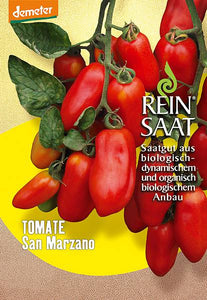 Tomate / San Marzano