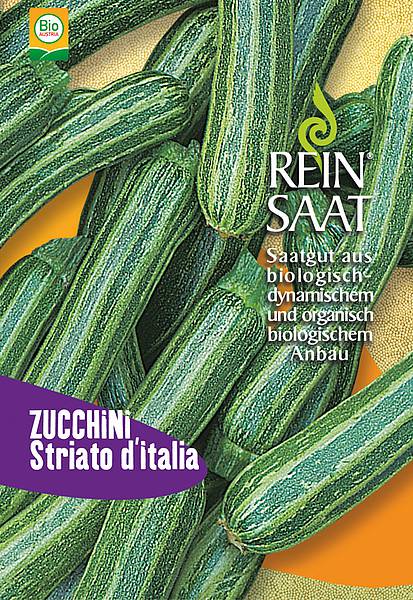 Zucchini / Striato d´ítalia