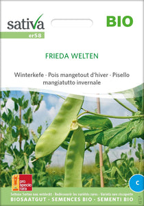 Frieda Welten / Wintererbse