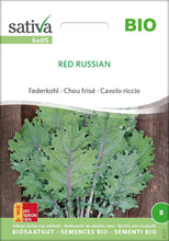 Laden Sie das Bild in den Galerie-Viewer, Red Russian / Kohl
