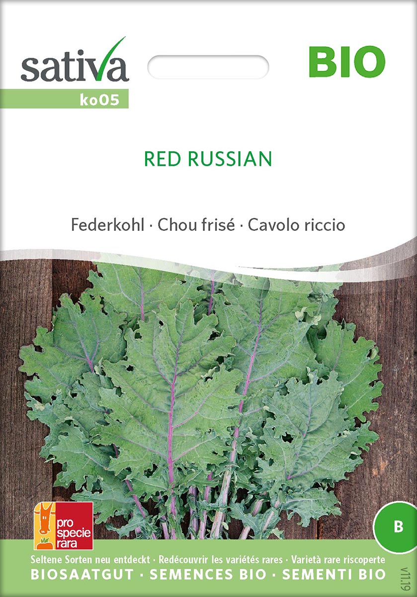 Red Russian / Kohl