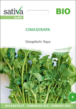 Laden Sie das Bild in den Galerie-Viewer, Kohl / Cima di Rapa - Stängelkohl
