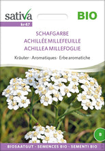Laden Sie das Bild in den Galerie-Viewer, Schafgarbe
