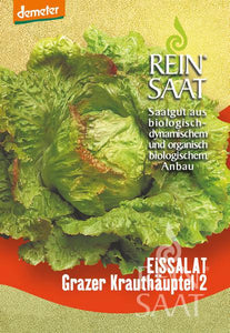 Grazer Krauthäuptel / Eissalat