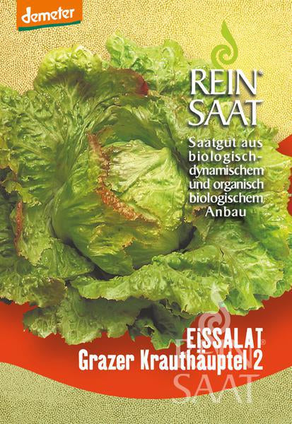Grazer Krauthäuptel / Eissalat