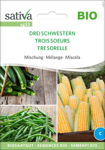 Mischung / Die drei Schwestern / Mais, Zucchini, Bohnen